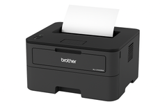 Brother HL-L2460DW Monochrome Printer